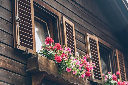 pink flowers decoration at wooden windows with shutters summer time