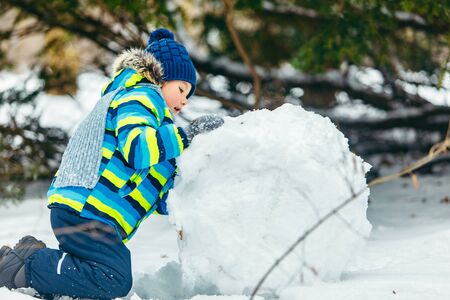 little cute boy making snowman. rolling big snowball. winter leisure
