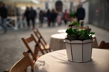 view of plant in pot at restaurant table outdoors cafe copy spaceの写真素材