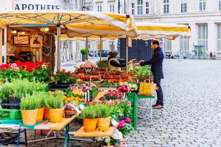 Vienna, Austria - May 16, 2019: local market with fruits and vegetables at city square. copy spaceのeditorial素材