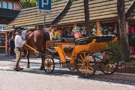Zakopane, Poland - September 13, 2019: horse with cart eating hay attraction in mountains city autumn sunny dayのeditorial素材