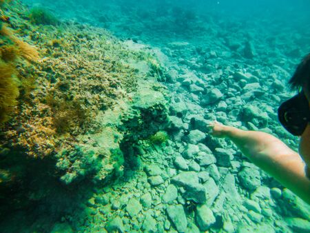 man swimming underwater looking sea bottom summer vacationの写真素材