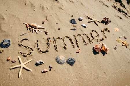 summer text on sand beach shells and starfish around. overheadの写真素材