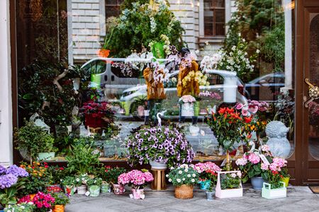 flowers in pots outdoors near shop copy space spring blooming timeの写真素材