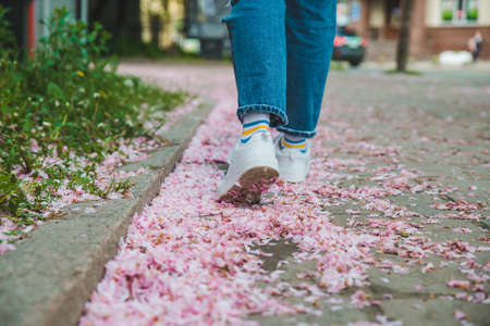body parts close up. woman walking in white sneakers by fallen off pink sakura flowers. copy spaceの写真素材