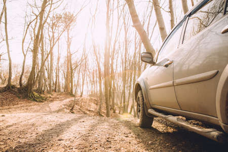 suv car in forest off road mud tiresの写真素材