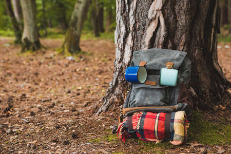 hiking backpack near tree in forestの写真素材