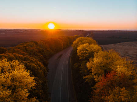aerial view of autumn highway in forest copy spaceの写真素材