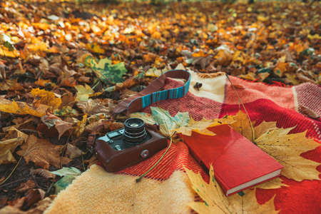 blanket with book and old retro camera on the ground in autumn public park. copy spaceの写真素材