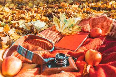 blanket with book and old retro camera on the ground in autumn public park. copy spaceの写真素材
