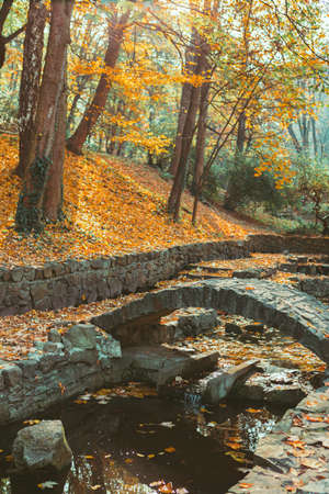 view of bridge cross the river at autumn city public park. copy spaceの写真素材