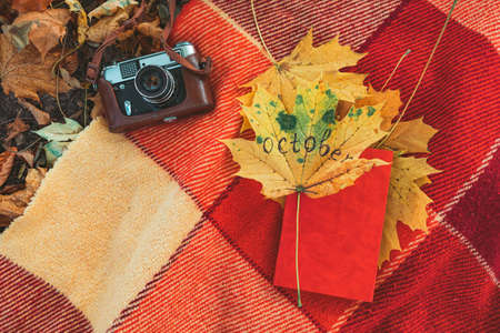 blanket with book and old retro camera on the ground in autumn public park. copy space