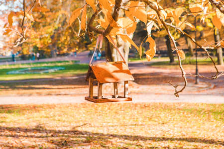 view of bird feeder at tree branch autumn seasonの写真素材