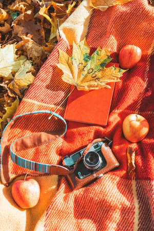 blanket with book and old retro camera on the ground in autumn public park. copy space
