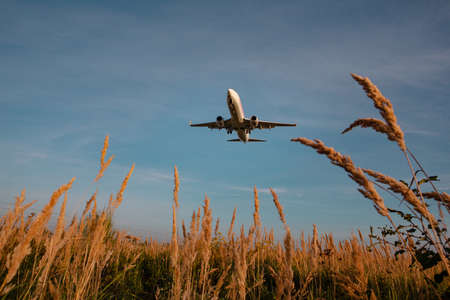 view of airplane landing on sunset travel concept