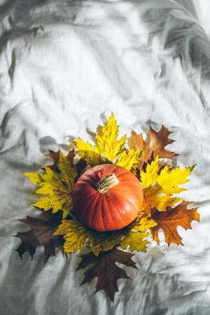 yellow pumpkin on white sheets. copy spaceの写真素材