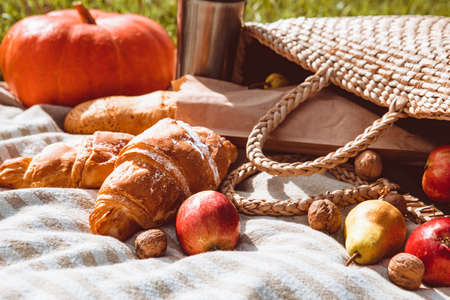 picnic at river beach autumn sunny day copy space