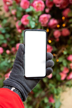 man hand in winter gloves holding phone with white screen christmas tree on background copy space