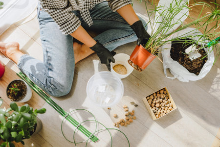 woman transplanting flowers in bigger pots at home. copy space
