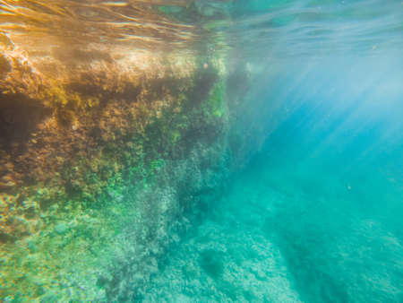 underwater sea bottom view copy spaceの写真素材