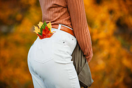 colorful autumn maple leaves in woman back pocket close upの写真素材
