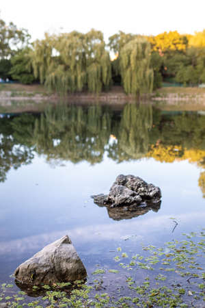 view of sunset in city public park with lake copy spaceの写真素材