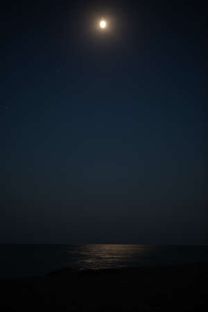 moonlight over sea. copy space