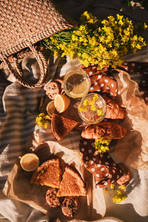 picnic concept glasses of wine bun outdoors on blanket summertime