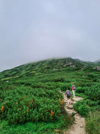 group of people hikers climbing up in mountains. peak in fog. copy spaceの写真素材