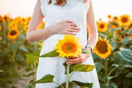 young pretty pregnant women shooting on sunflowers field. copy spaceの写真素材