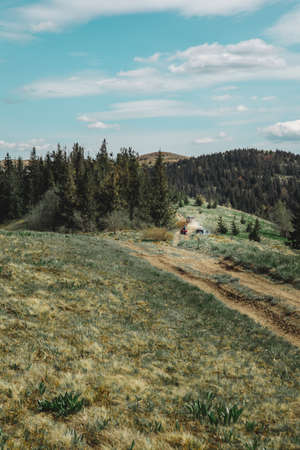 view of path road in forest in mountain