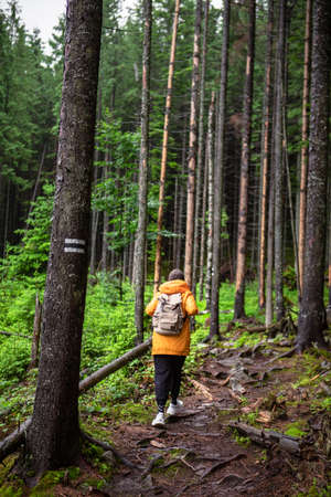 woman hiker with backpack in yellow raincoat at footpath trail summertimeの写真素材