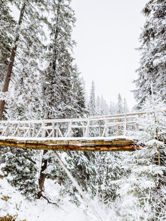 view of bridge in snowed forest copy spaceの写真素材