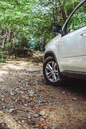 suv car at forest trail copy spaceの写真素材