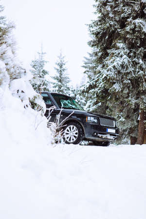 suv car in snowed forest copy spaceの写真素材