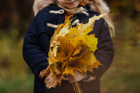 portrait of cute toddle girls in autumn outfit with maple leaves in hands