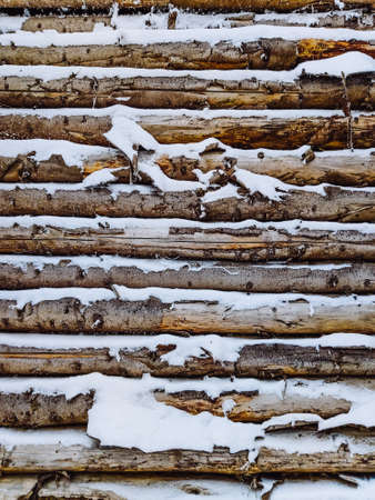 logs in snow close up wallpaperの写真素材