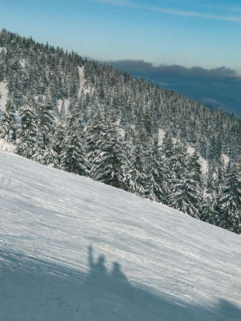 landscape of snowed winter mountains copy spaceの写真素材