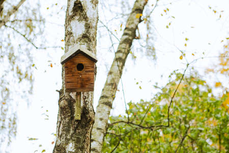 birdhouse on the tree autumn season copy spaceの写真素材