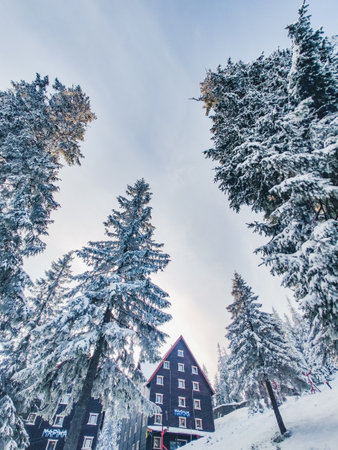 mountains ski resort in carpathian mountains copy space