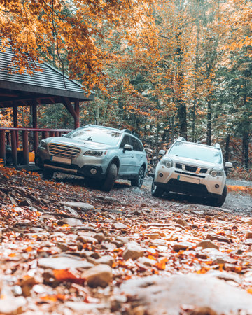 two suv cars in autumn forest copy spaceの写真素材