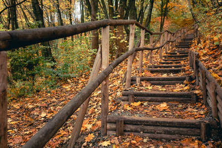 stairs in autumn park fall seasonの写真素材