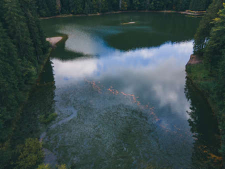 aerial view of carpathian lake synevyr autumn seasonの写真素材