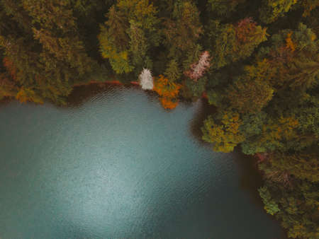 aerial view of carpathian lake synevyr autumn seasonの写真素材