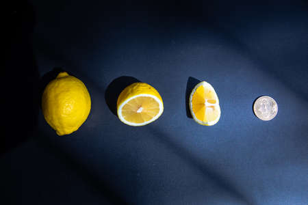 lemons bitcoin symbol of richness flat layの写真素材