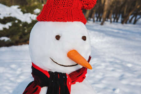 isolated snowman in red hat winter seasonの写真素材