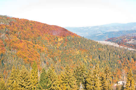 landscape view of autumn carpathian mountains ukraineの写真素材