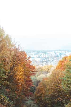 autumn is coming yellow trees park city on backgroundの写真素材