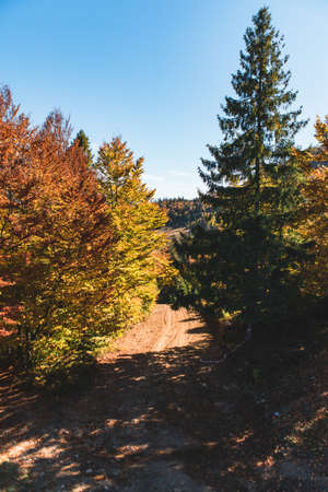 landscape view of autumn carpathian mountains ukraineの写真素材