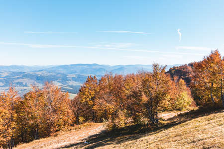 landscape view of autumn carpathian mountains ukraineの写真素材